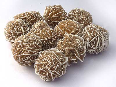 Desert Rose - Medium