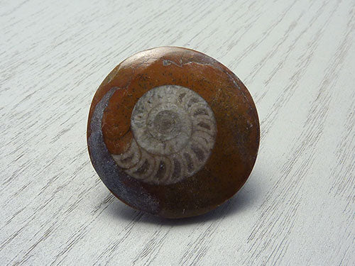 Fossil A
