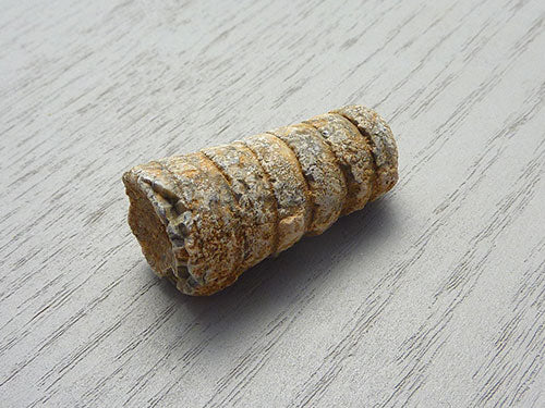Fossil E