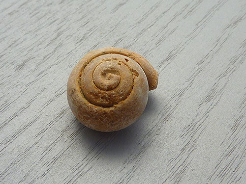 Fossil F
