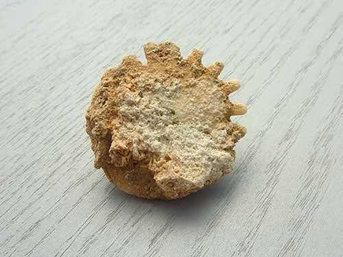 Fossil G
