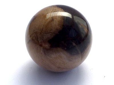 Petrified Wood Sphere