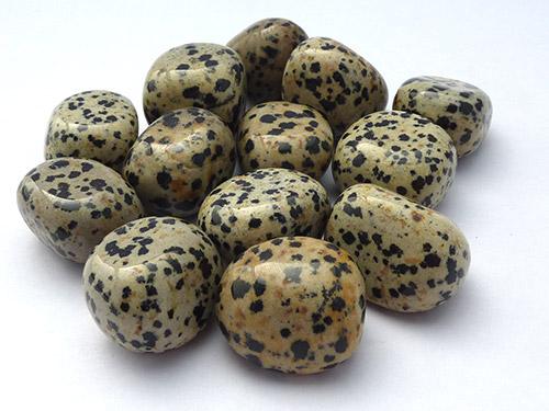 Dalmation Jasper Tumbled Stones