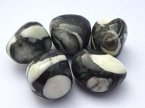 Fossil Shell Jasper Tumbled Stones